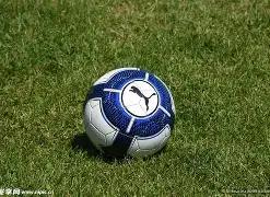 官方宣布,中国女篮新,星韩旭已抵,宝威体育平台,宝威体育官方网站,宝威体育登录入口,宝威体育app下载