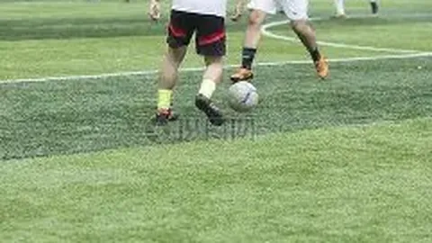 宝威体育 产品 102158 ynl