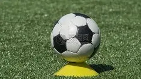 宝威体育 资讯 115830 8n3