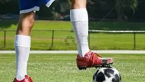 宝威体育 产品 115514 2dg