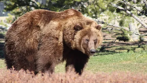 宝威体育 产品 095840 83f