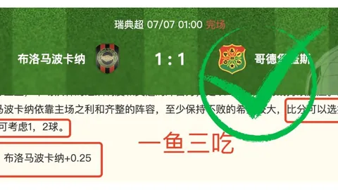 2026视角：泰拉菲尔马现状分析，价值不容忽视